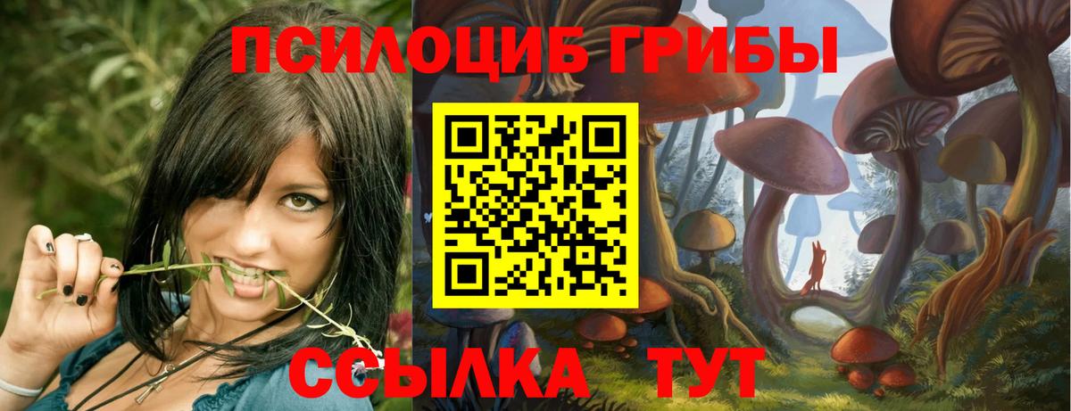 Корсаков  Галлюциногенные грибы прущие грибы  Вход с VPN 